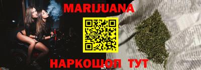 стаф Шелехов