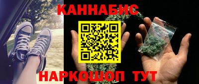 стаф Шелехов