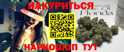 стаф Шелехов