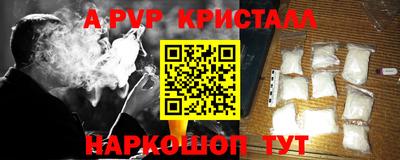 стаф Шелехов
