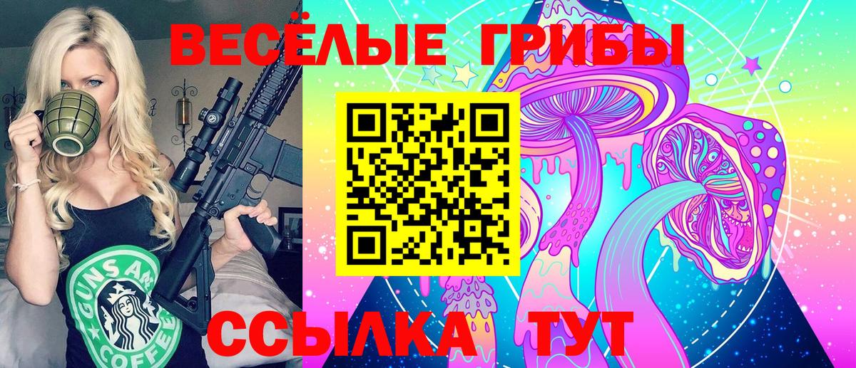 Псилоцибиновые грибы GOLDEN TEACHER Кореновск